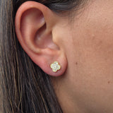 Clover Stud VanC